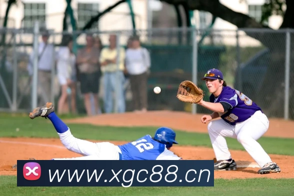 开云kaiyun官网及登录平台生态图