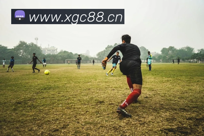 辅助工具 辅助工具